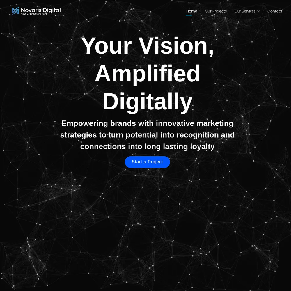 Novaris Digital website preview
